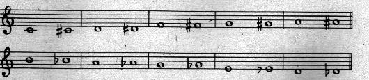 7.jpg (18590 bytes)
